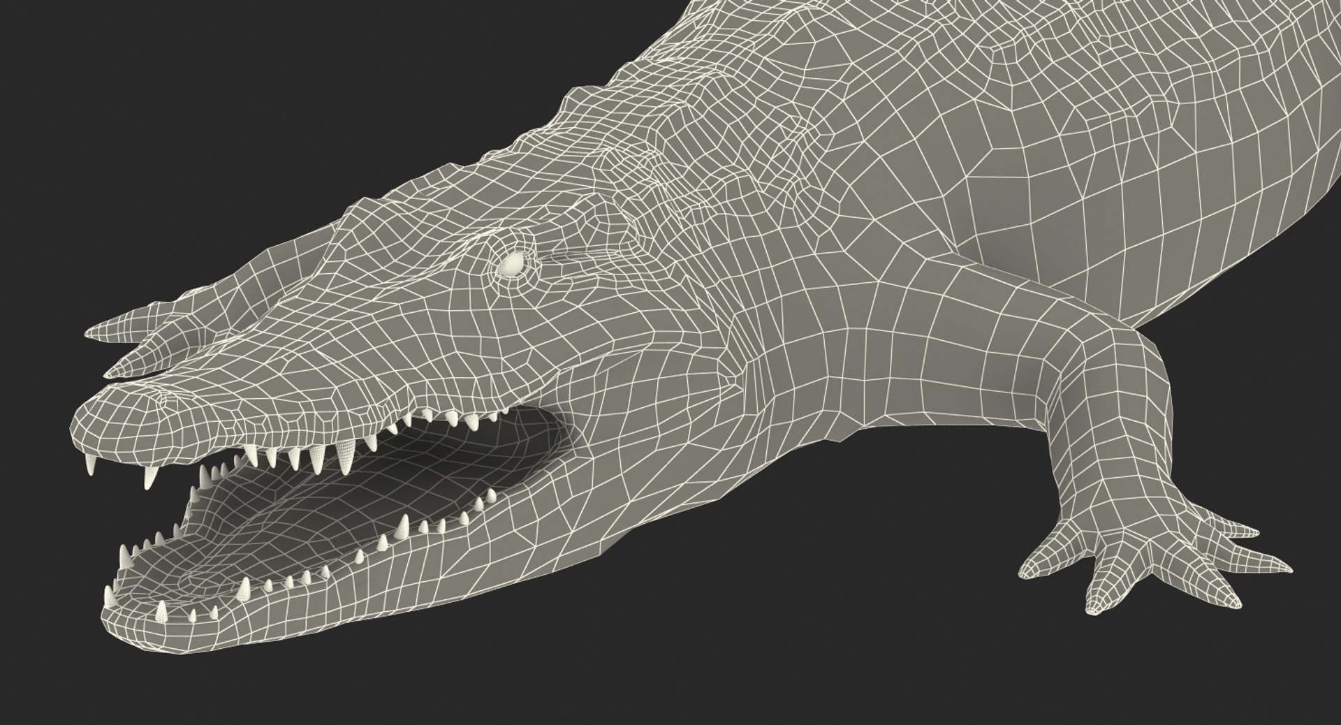 crocodile croc 3d x https://p.turbosquid.com/ts-thumb/Tp/uT6R7i/mGjevpgZ/crocodilec4dmodel019/jpg/1486968708/1920x1080/fit_q87/fa89d1956b38de07144278adcb7c0d46ebd0adf4/crocodilec4dmodel019.jpg
