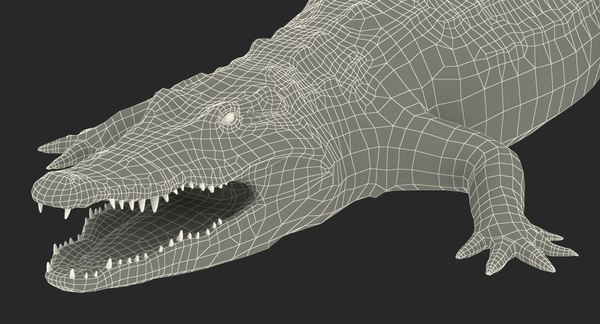 crocodile croc 3d x