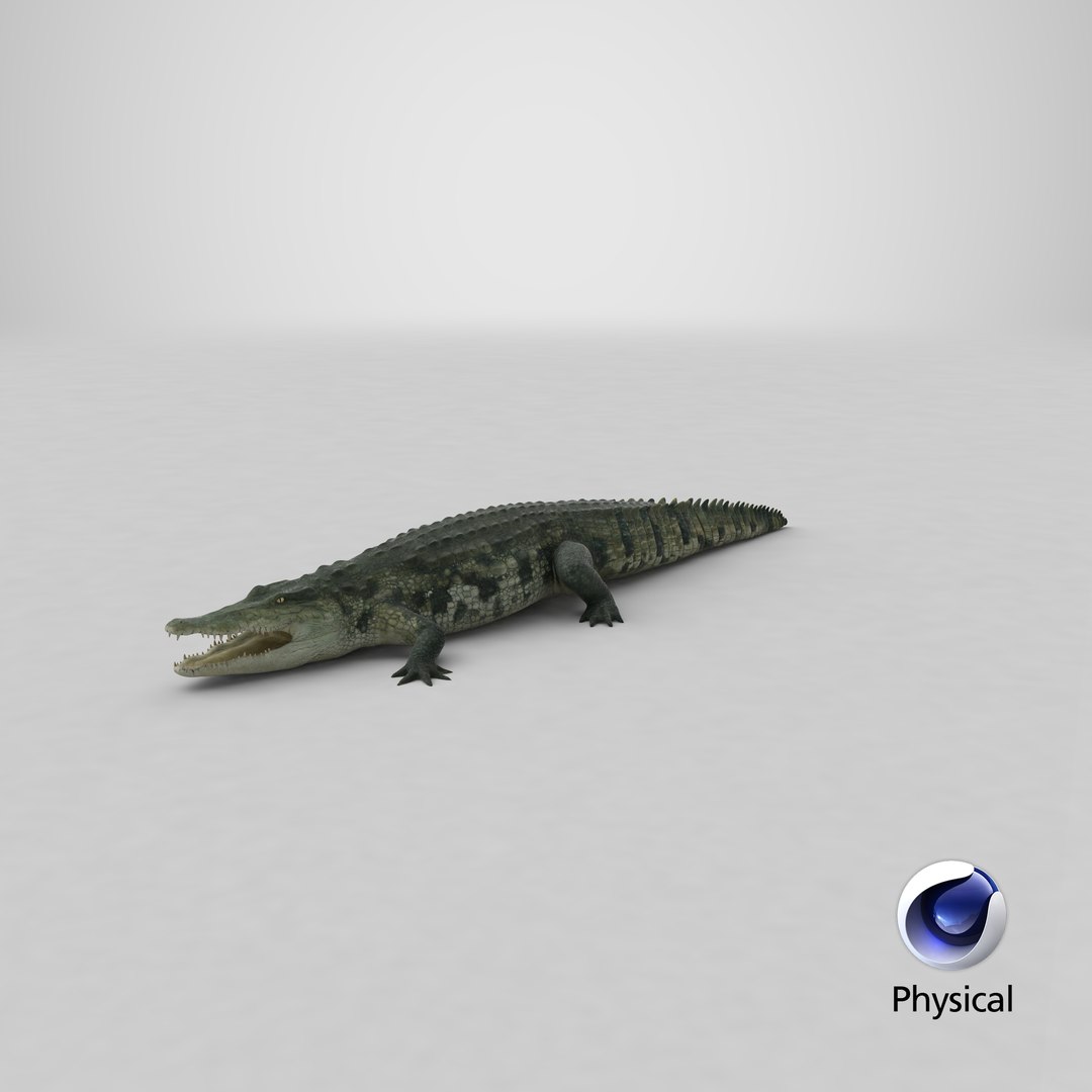 crocodile croc 3d x https://p.turbosquid.com/ts-thumb/Tp/uT6R7i/rZQPcnkS/stemcell_cinema_4d_physical_render/png/1592452515/1920x1080/fit_q87/0f713bdb16eecf332cd97edcd7cd7156eed353aa/stemcell_cinema_4d_physical_render.jpg