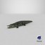 Crocodile
