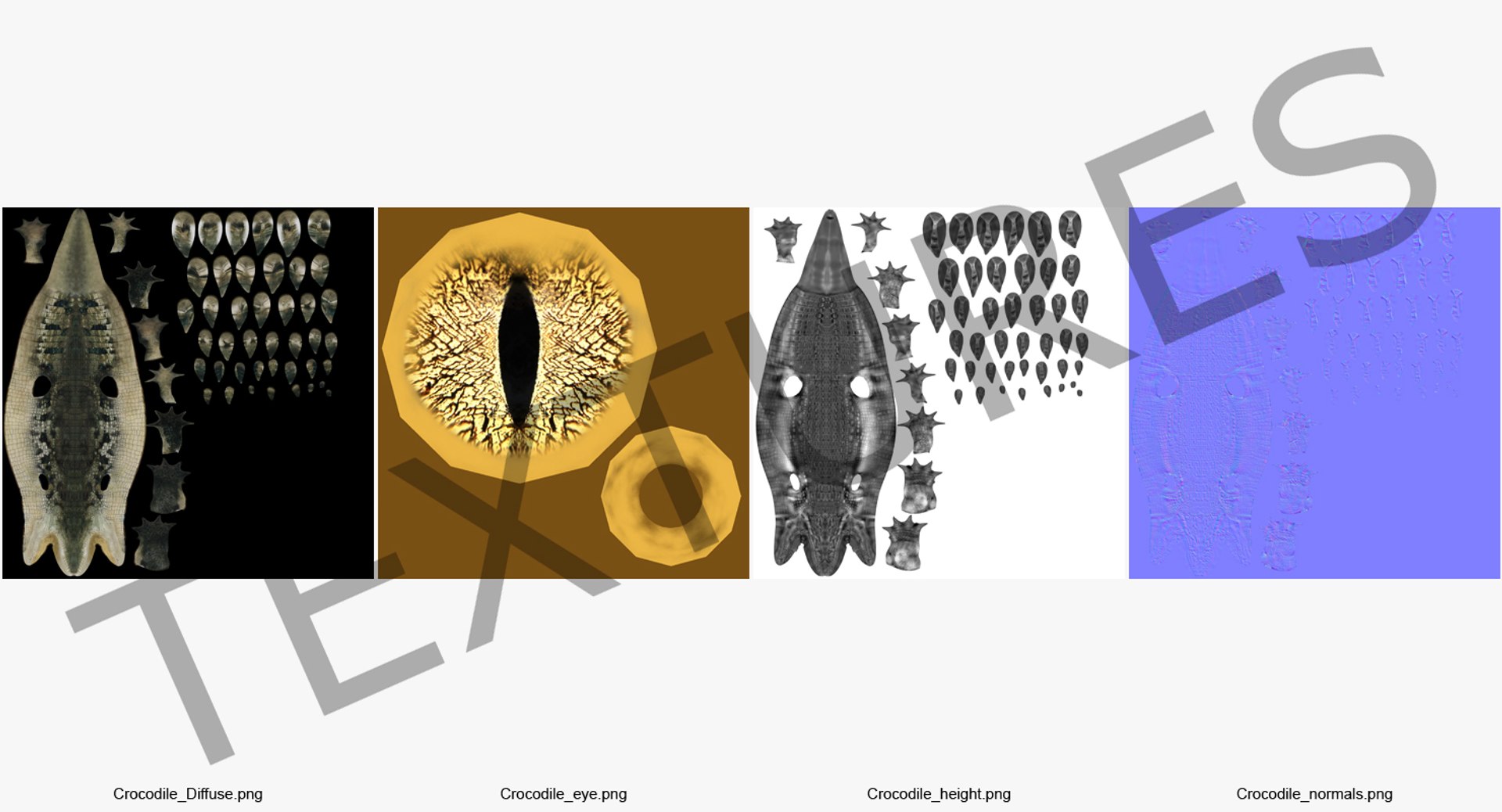 crocodile croc 3d x https://p.turbosquid.com/ts-thumb/Tp/uT6R7i/rkIRbavv/crocodilec4dmodel011/jpg/1486968708/1920x1080/fit_q87/f569e79e89baed91312c3d8ab24dcf59d9c225ae/crocodilec4dmodel011.jpg