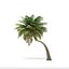 3D coconut palm tree 6