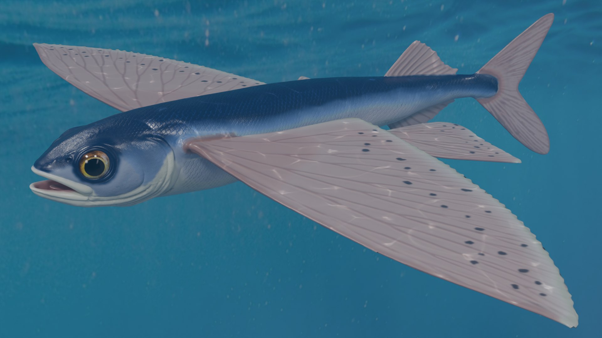 Flying fish 3D https://p.turbosquid.com/ts-thumb/Tp/xqSRAo/19/untitled/png/1777021259/1920x1080/fit_q87/f0ecbb4e42c9f65ac8cce730665c0193ab782eb8/untitled.jpg