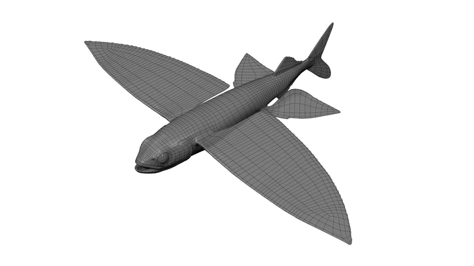Flying fish 3D https://p.turbosquid.com/ts-thumb/Tp/xqSRAo/75/wire/png/1777021249/1920x1080/fit_q87/2e8a7fa2af2cfc3999000e208ebe99a6a03926d1/wire.jpg