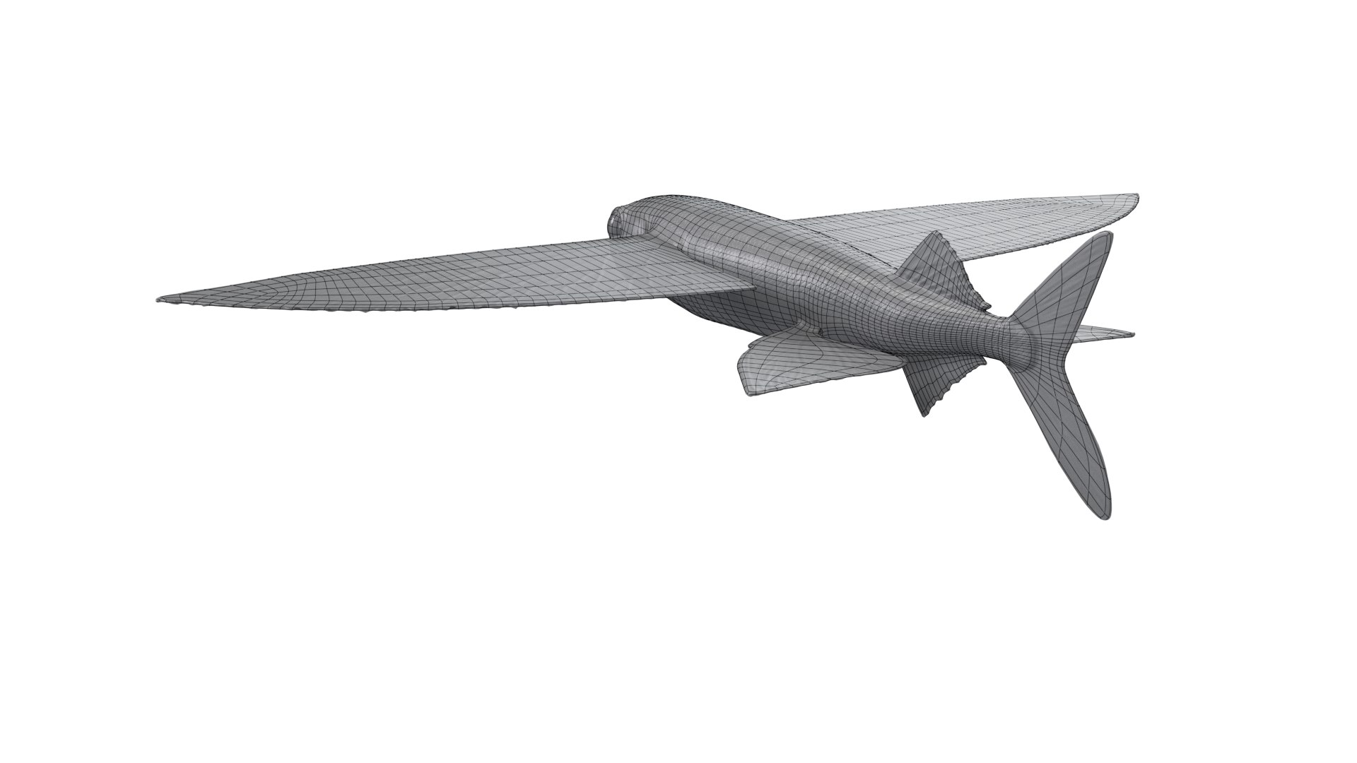 Flying fish 3D https://p.turbosquid.com/ts-thumb/Tp/xqSRAo/Eq/wire2/png/1777021250/1920x1080/fit_q87/3ad7867a65146b0fc2db2dc200faec2c89e0c402/wire2.jpg