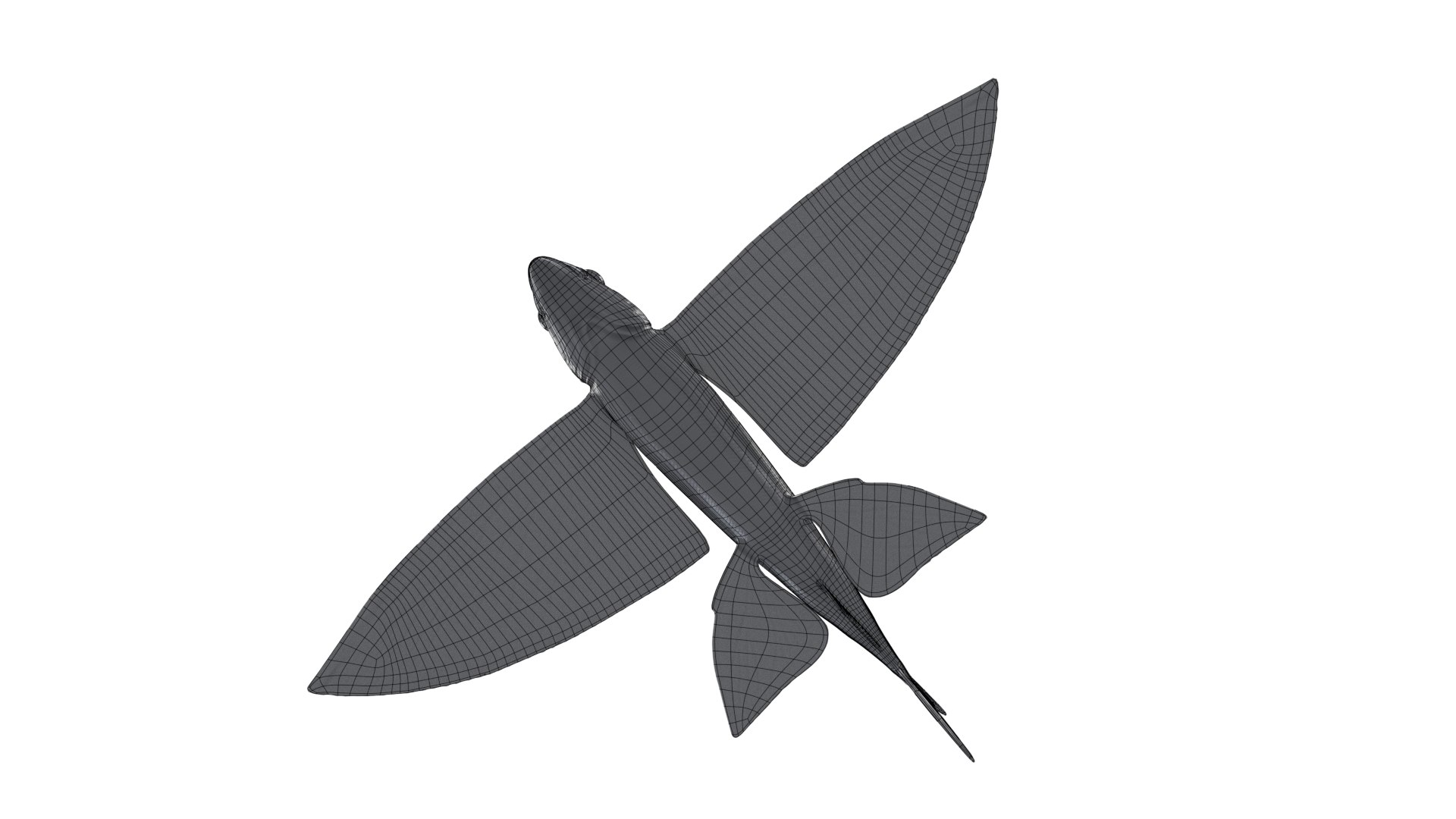 Flying fish 3D https://p.turbosquid.com/ts-thumb/Tp/xqSRAo/pI/wire3/png/1777021258/1920x1080/fit_q87/10fdea5e28d2b1d5a64834d21c06615ae48a6723/wire3.jpg