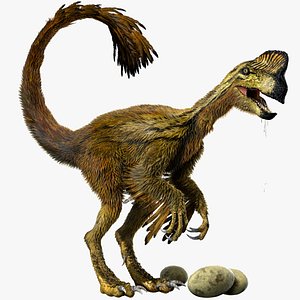 Raptor Oviraptor (Fur) (Rigged)