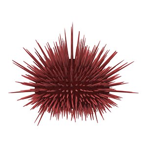 3D model Red sea urchin