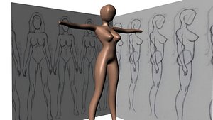 basic female body