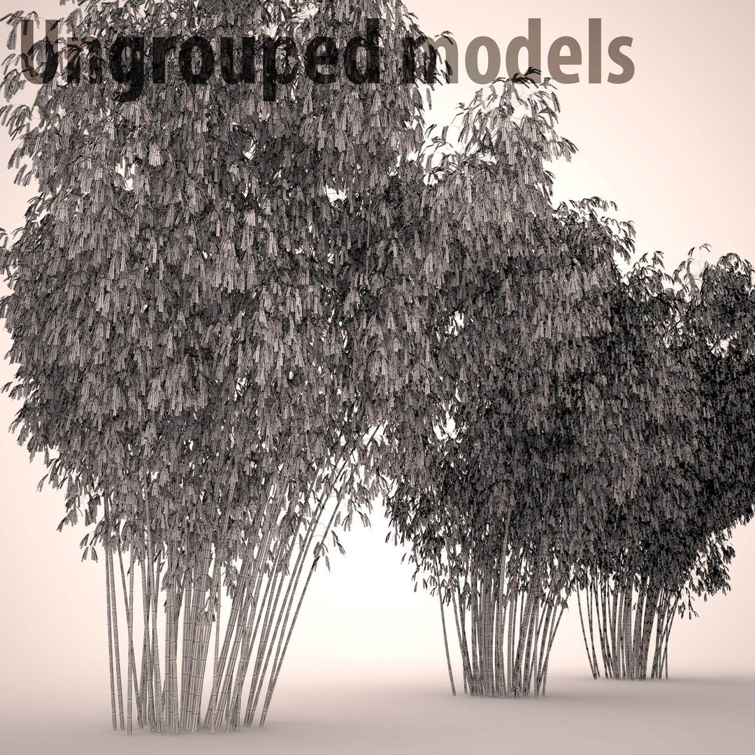 3d model bambusa golden bamboo set https://p.turbosquid.com/ts-thumb/Tq/Ov0l58/ZnoDKY7T/golden_bamboo_82_wireframe/jpg/1419340438/1920x1080/fit_q87/731a23174a32c097709fe6fc88efff4c21c63a8d/golden_bamboo_82_wireframe.jpg