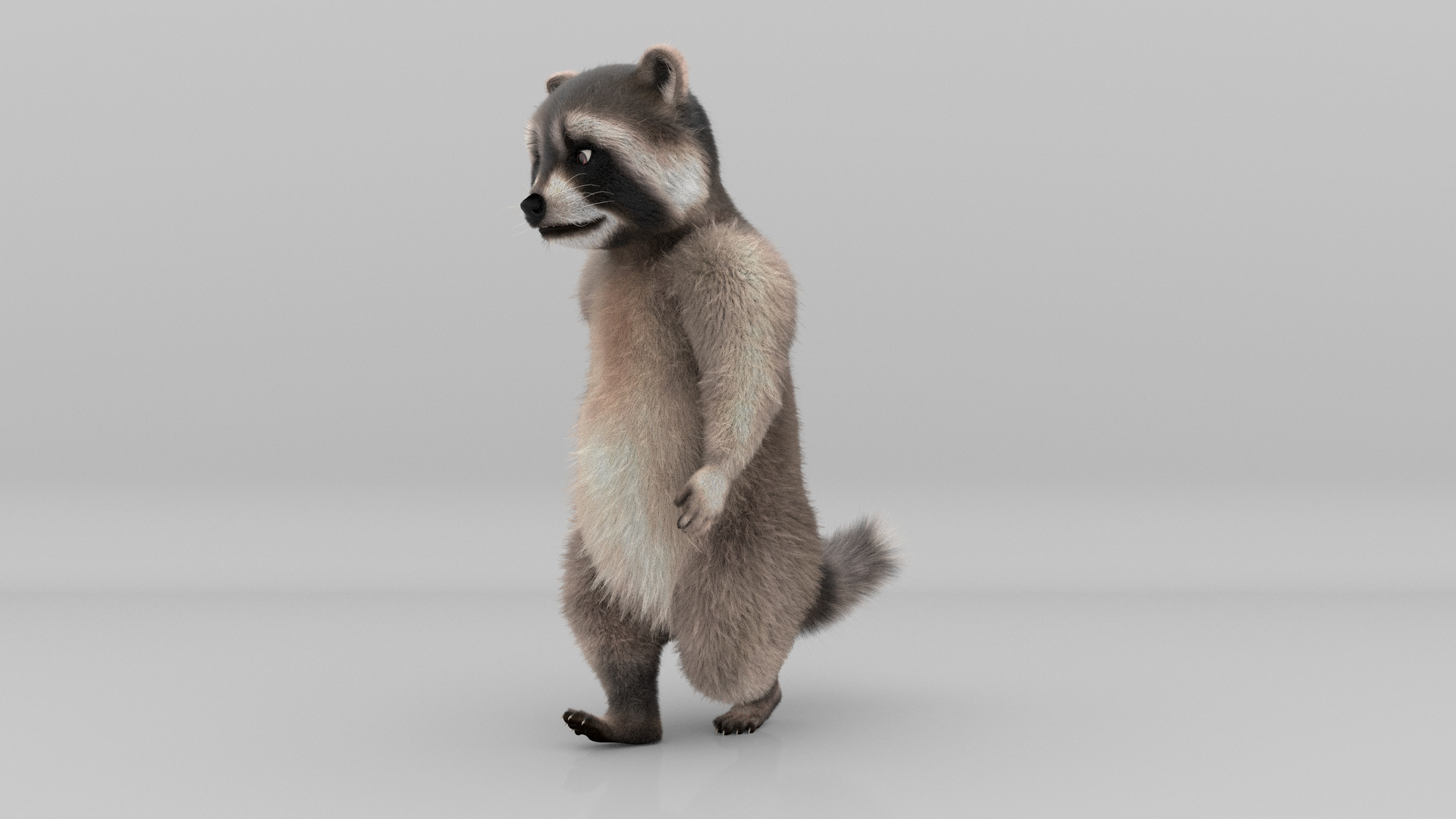 Raccoon FUR ANIMATED 3D model - TurboSquid 1963498