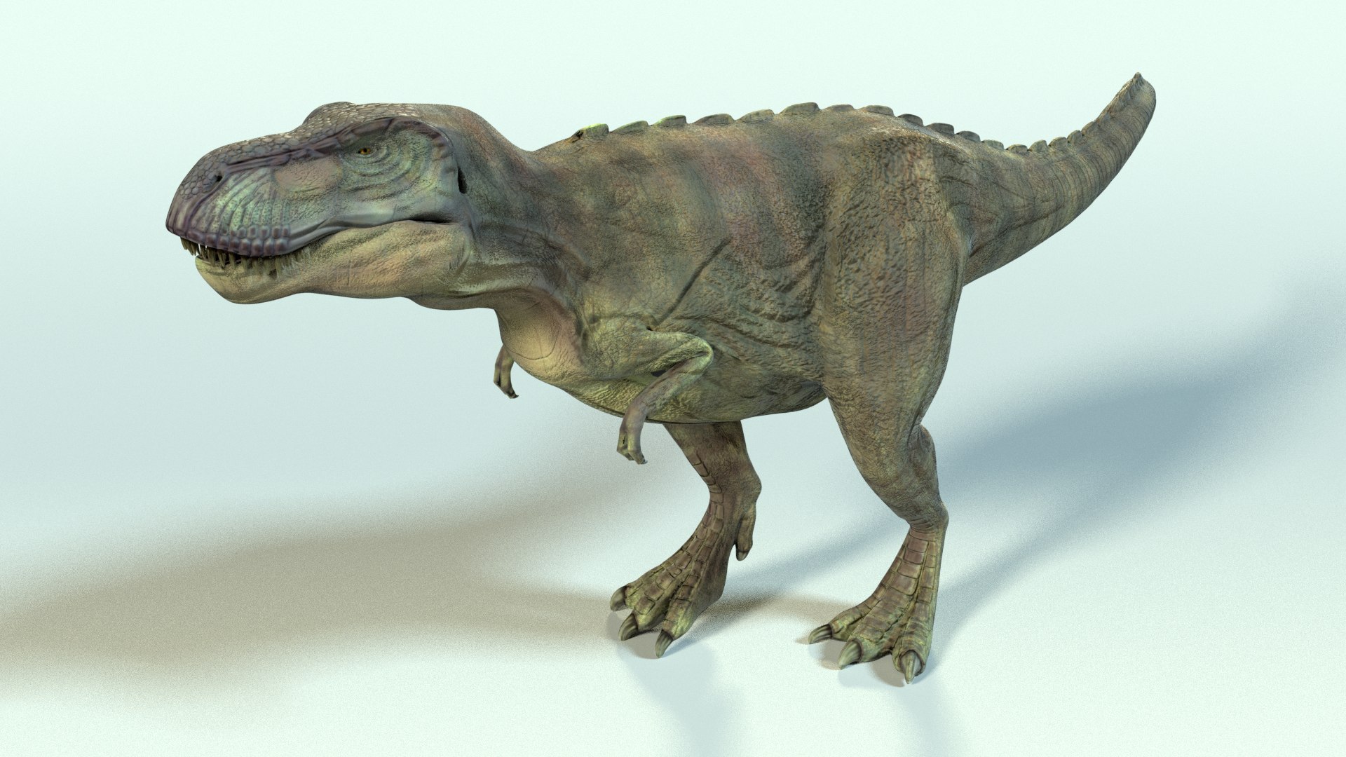 Rigged T-rex Animation 3D Model - TurboSquid 1372339