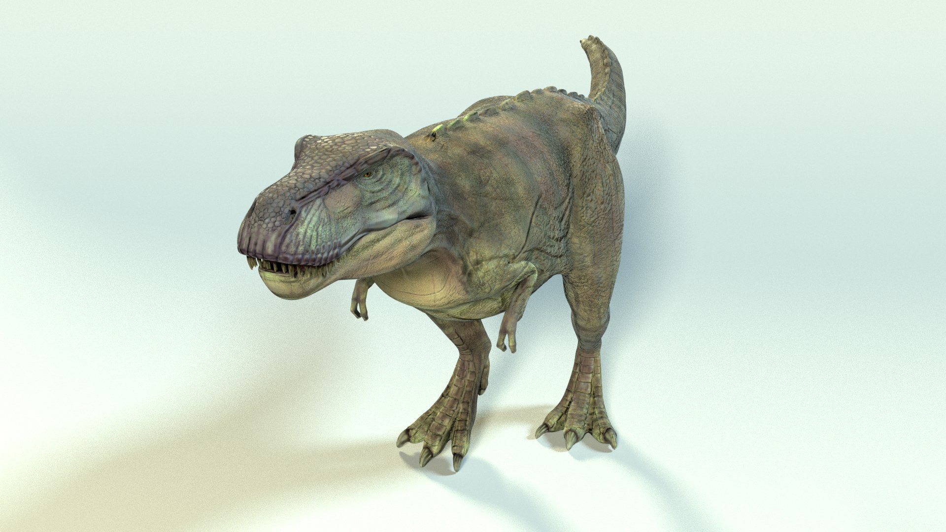 Rigged T-rex Animation 3D Model - TurboSquid 1372339