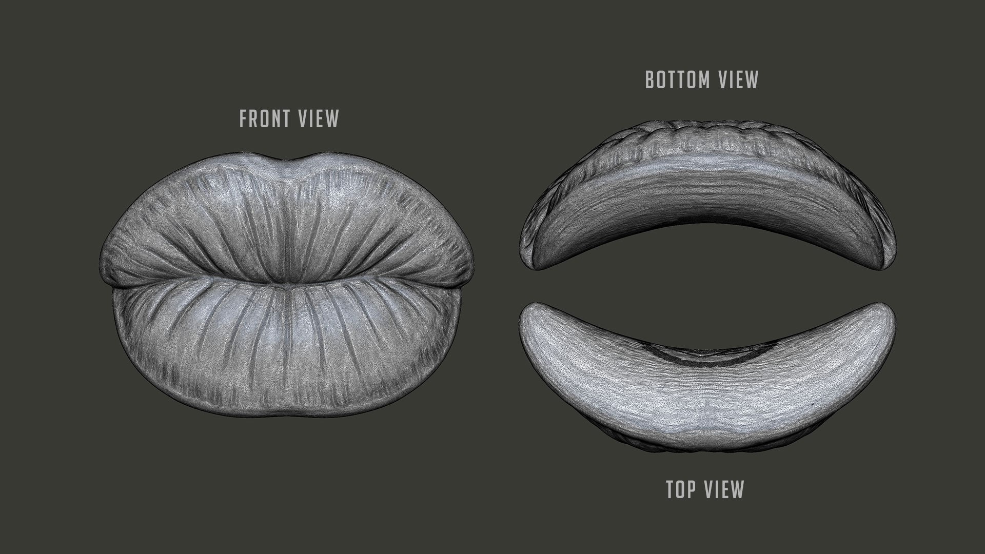 Kissing Lips Sculpture Decor 3D 3D Model - TurboSquid 1885399