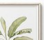 Picture Frames Set-663