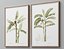 Picture Frames Set-663