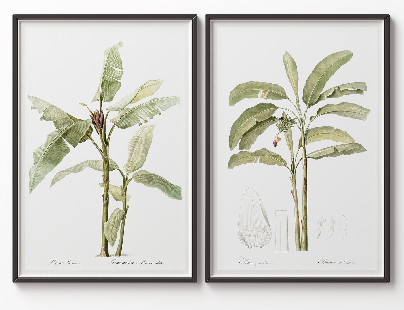 Picture Frames Set-663 model https://p.turbosquid.com/ts-thumb/Tq/hOvK2U/3a/black/jpg/1787318969/1920x1080/fit_q87/7935ad9f9195134d19b39c7fa1eec69677b73f2f/black.jpg
