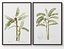 Picture Frames Set-663