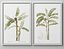 Picture Frames Set-663