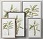 Picture Frames Set-663