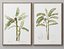 Picture Frames Set-663