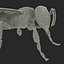 bee rigged 3d max