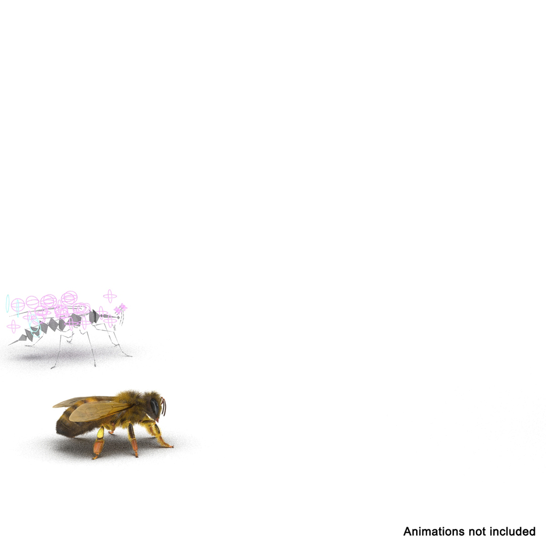 bee rigged 3d max https://p.turbosquid.com/ts-thumb/Tq/iS8wOr/4rkSyRrk/bee_rigged_363/jpg/1455091310/1920x1080/turn_fit_q99/2293cc4871382370d8c3849d4f5c4030e1dfa734/bee_rigged_363-1.jpg