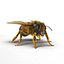 Bee Rigged