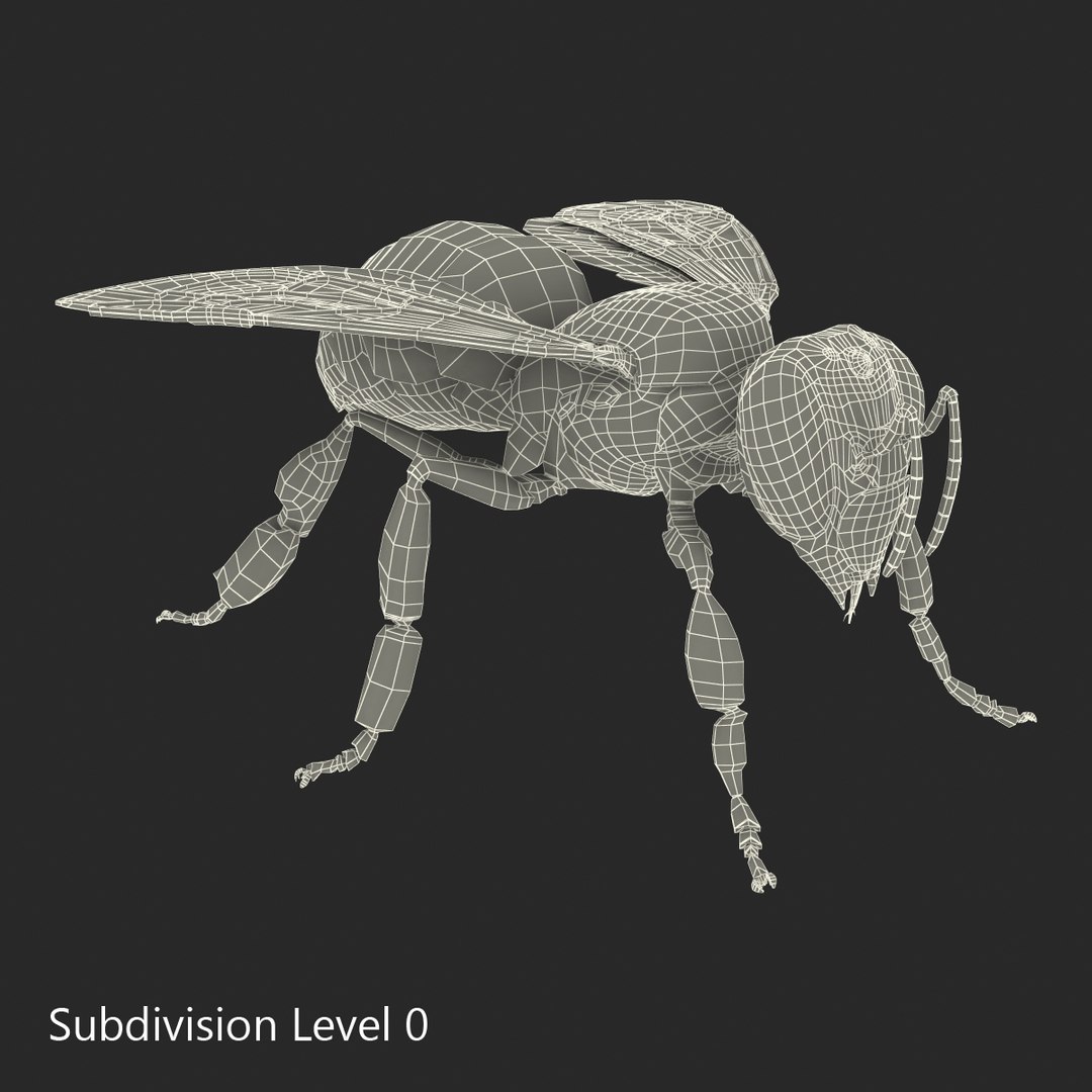 bee rigged 3d max https://p.turbosquid.com/ts-thumb/Tq/iS8wOr/OAj0gLRQ/beerigged3dmodel37/jpg/1455090941/1920x1080/fit_q87/2c206713f763115c623f329ddfbf6c7ff04f7eeb/beerigged3dmodel37.jpg
