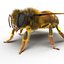 bee rigged 3d max