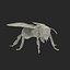 Bee Rigged