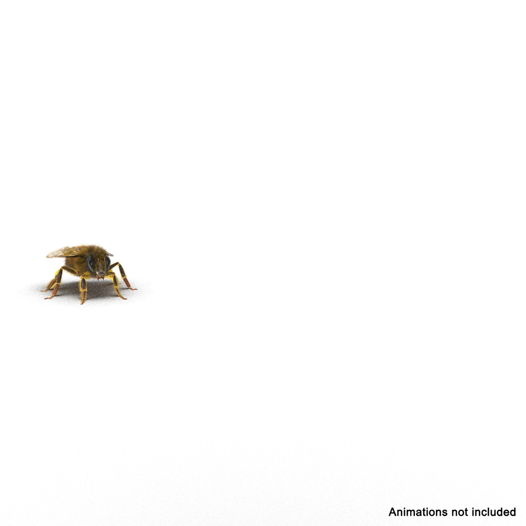bee rigged 3d max https://p.turbosquid.com/ts-thumb/Tq/iS8wOr/dO8O3E3F/bee_rigged_362/jpg/1455091167/1920x1080/turn_fit_q99/358539a0eafd6344610c7899b397cfd3212ab239/bee_rigged_362-1.jpg