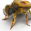 bee rigged 3d max