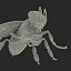 bee rigged 3d max