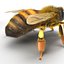 bee rigged 3d max