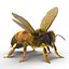 bee rigged 3d max