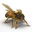 bee rigged 3d max