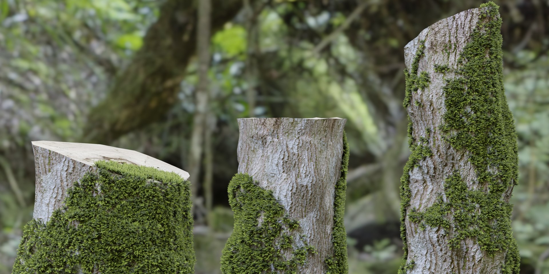 Mossy Tree Stump Collection Vol 289-3dsmax-Blender 3D https://p.turbosquid.com/ts-thumb/Tq/tuYavJ/Gq/6/jpg/1741025320/1920x1080/fit_q87/20eec0c8d3df005d1dfedd99896a2ae3e4640358/6.jpg