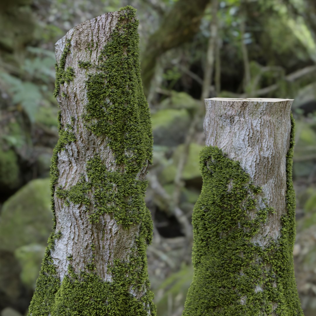 Mossy Tree Stump Collection Vol 289-3dsmax-Blender 3D https://p.turbosquid.com/ts-thumb/Tq/tuYavJ/Vb/5/jpg/1741025320/1920x1080/fit_q87/aef217aa48f64311e1edeb46825fa73e51a1d59a/5.jpg