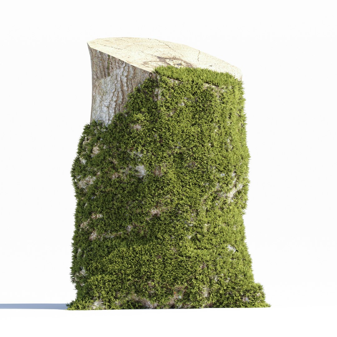 Mossy Tree Stump Collection Vol 289-3dsmax-Blender 3D https://p.turbosquid.com/ts-thumb/Tq/tuYavJ/cU/4/jpg/1741025319/1920x1080/fit_q87/26422a7fb6be8359c7c9c4e327825bedbbe8ec89/4.jpg