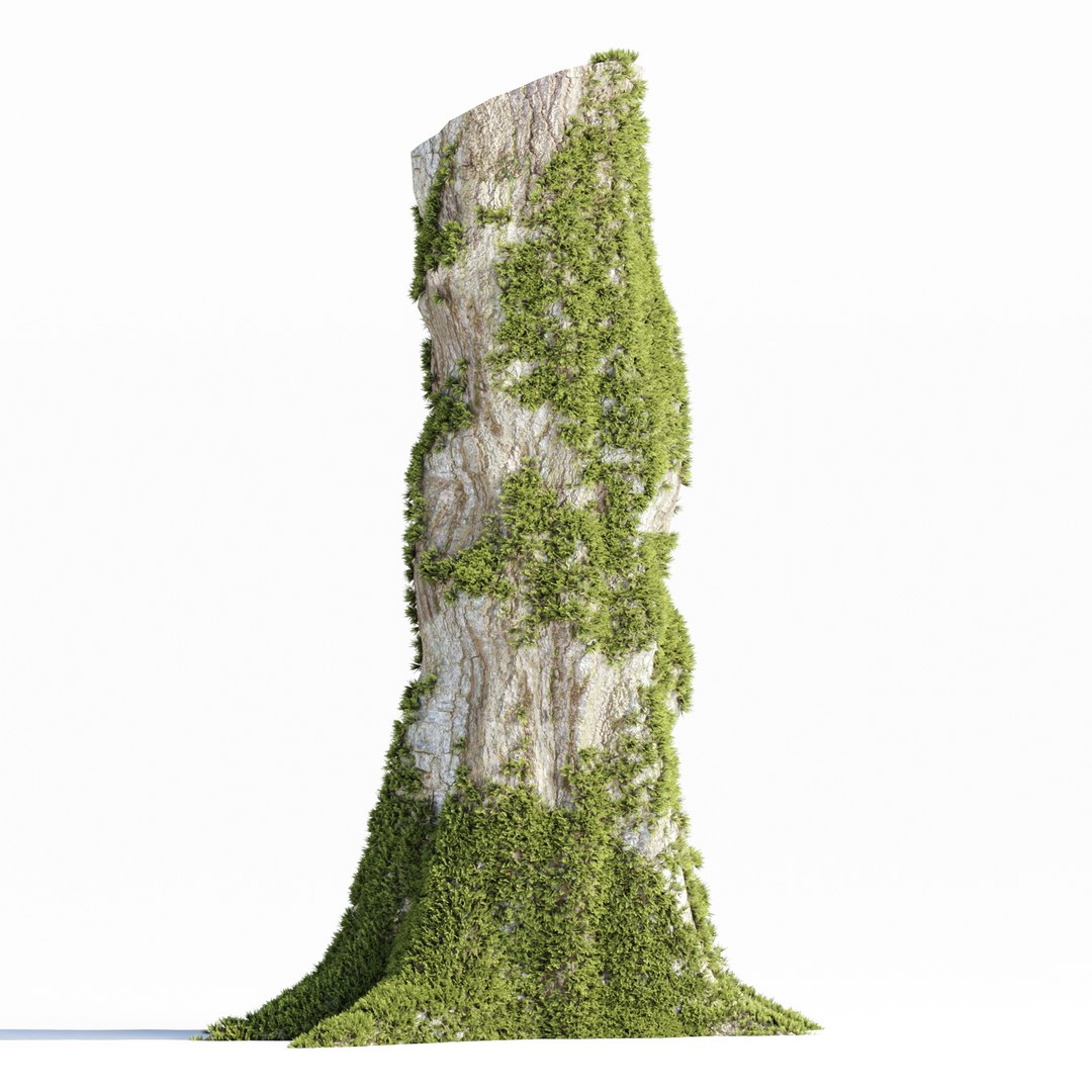 Mossy Tree Stump Collection Vol 289-3dsmax-Blender 3D https://p.turbosquid.com/ts-thumb/Tq/tuYavJ/yg/2/jpg/1741025318/1920x1080/fit_q87/456194ade7173fadfbf0914de8429609a2818bac/2.jpg