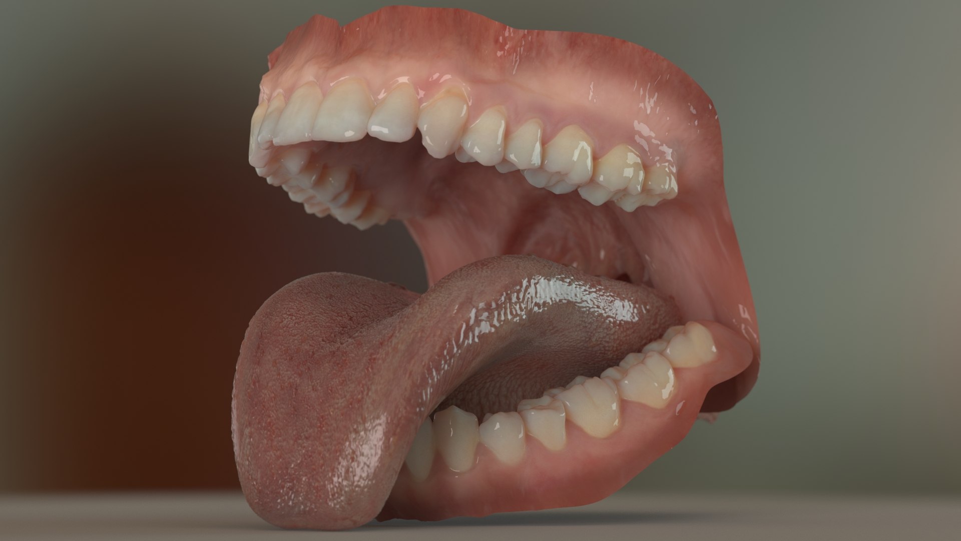 denture medicine anatomy model https://p.turbosquid.com/ts-thumb/Tq/vSwefj/6v/02/jpg/1610417219/1920x1080/fit_q87/0fe8d456c43dd3c8610b4c59d702e357c63179c5/02.jpg
