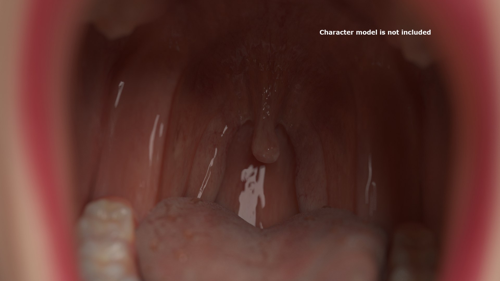 denture medicine anatomy model https://p.turbosquid.com/ts-thumb/Tq/vSwefj/CG/11/jpg/1610417220/1920x1080/fit_q87/533a13c0305cd408c2129b6b8142044fc53f90e2/11.jpg