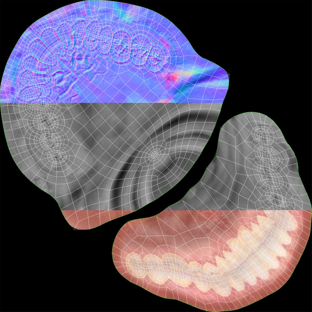 denture medicine anatomy model https://p.turbosquid.com/ts-thumb/Tq/vSwefj/NO/uv/jpg/1610417223/1920x1080/fit_q87/2c5c5e4fe63c9f429d04e65b1e6404a0b136e56e/uv.jpg
