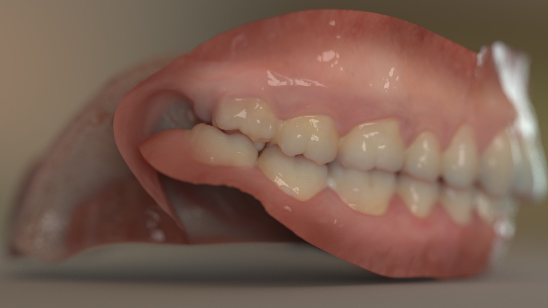 denture medicine anatomy model https://p.turbosquid.com/ts-thumb/Tq/vSwefj/VJ/07/jpg/1610417226/1920x1080/fit_q87/00cbc22c652bdbc731f7fb1aba98532213fa31f6/07.jpg