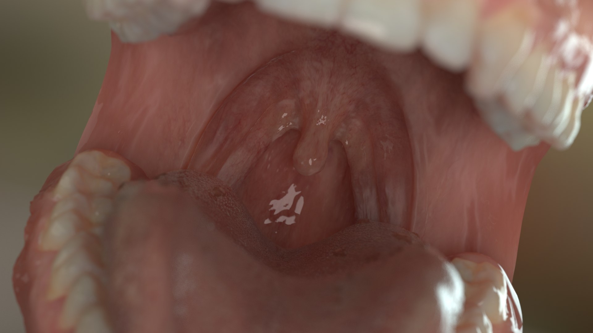 denture medicine anatomy model https://p.turbosquid.com/ts-thumb/Tq/vSwefj/oA/03/jpg/1610417218/1920x1080/fit_q87/c1a538c61b0d5a56347c81522c47a0456b71ce07/03.jpg