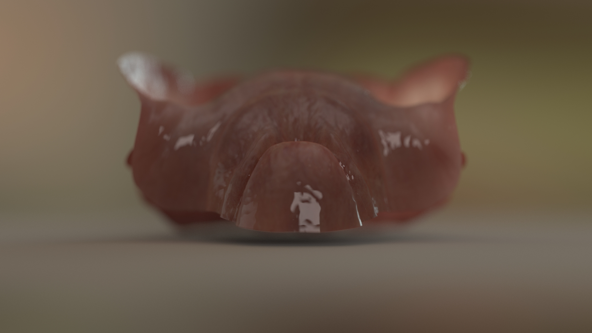 denture medicine anatomy model https://p.turbosquid.com/ts-thumb/Tq/vSwefj/pB/360_open_other/jpg/1610417611/1920x1080/turn_fit_q99/3c7c62289d2fe82f0637946181fe0bf7bc54e033/360_open_other-1.jpg