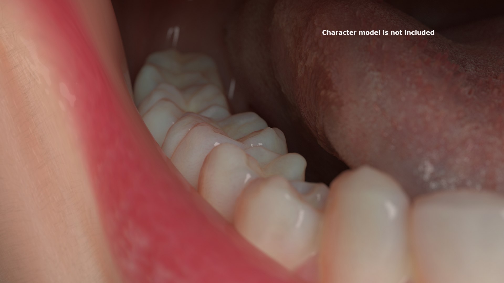 denture medicine anatomy model https://p.turbosquid.com/ts-thumb/Tq/vSwefj/tu/12/jpg/1610417219/1920x1080/fit_q87/b2248b300b404ef29bdc727d123e40f0bdf56c1f/12.jpg