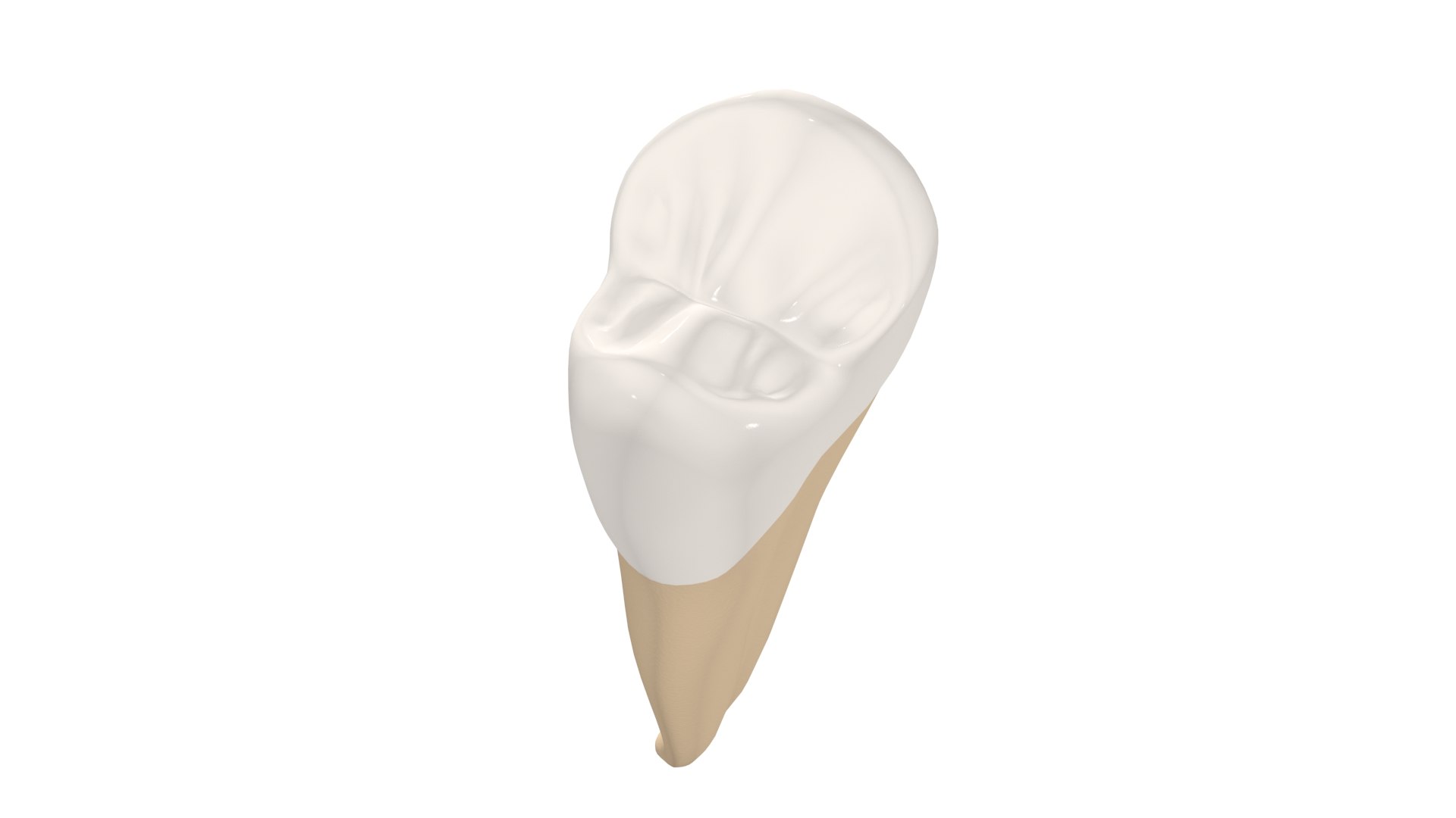 Upper Second Premolar Tooth 3D - TurboSquid 1773306