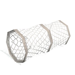 Fish Trap